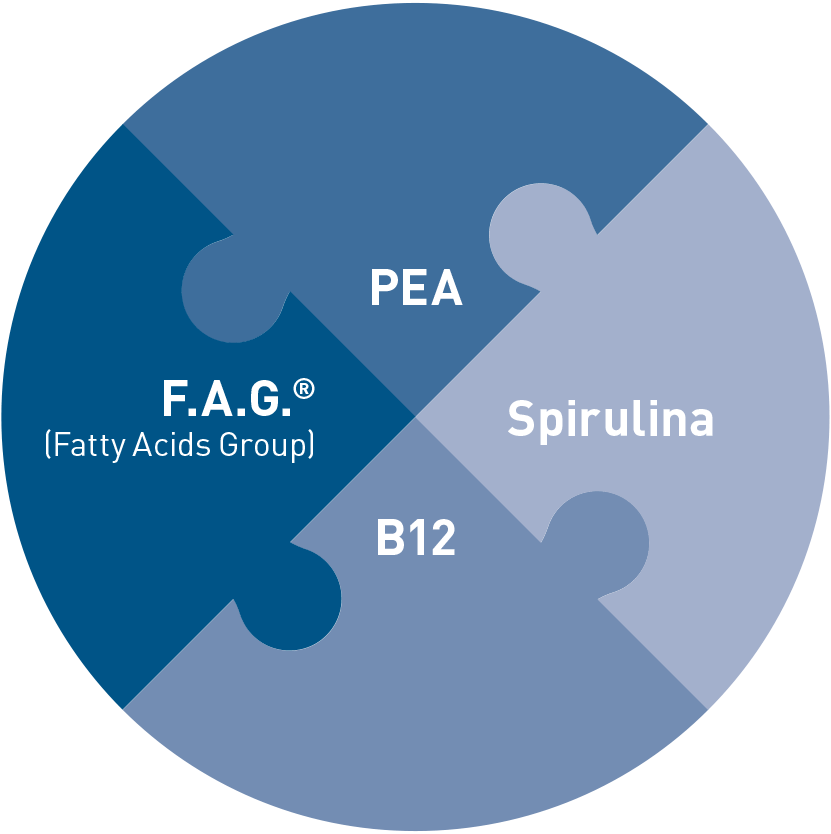 Inhaltsstoffe von Epiderali Plus gegen diabetische Polyneuropathie: PEA, F.A.G. (Fettsäurengemisch), Spirulina, B12